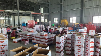 農產品與電商深度融合 賦能鄉村振興——陜能院學子調研云陽站電商扶貧基地